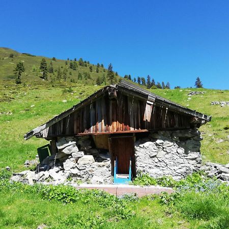 Appartment Moser Alpbach Zewnętrze zdjęcie