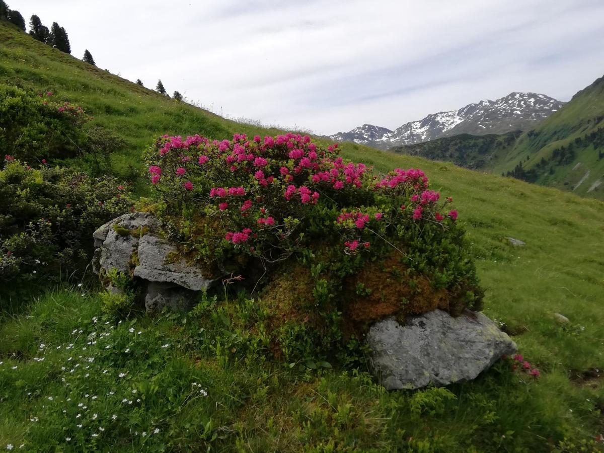 Appartment Moser Alpbach Zewnętrze zdjęcie