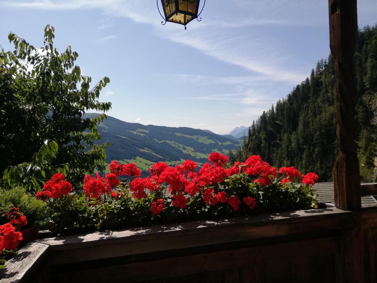 Appartment Moser Alpbach Zewnętrze zdjęcie