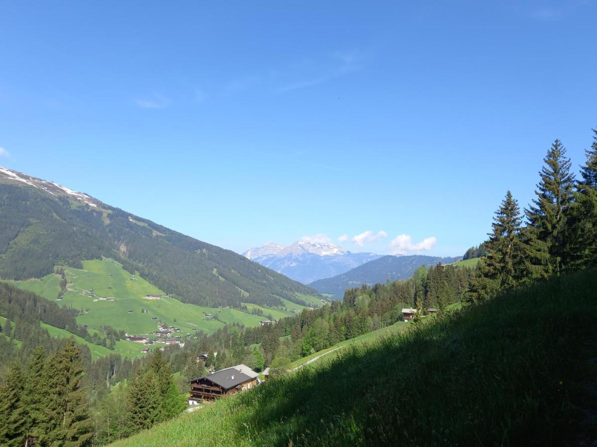 Appartment Moser Alpbach Zewnętrze zdjęcie